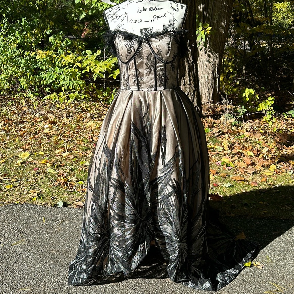 Elegant Strapless Ball Gown Dress in Champagne and Black